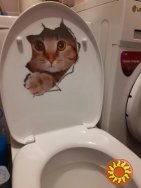 Наклейки котики номер 2 для детской комнаты