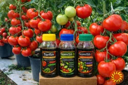 Золота лінійка мікродобрив GumiSil Trio для городу