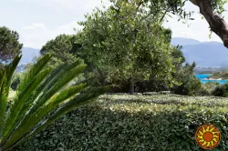 Вилла Солярис - отличное место для отдыха на море!