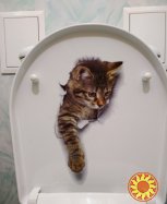 Наклейка Котик номер 3 для детской комнаты, ванны