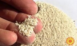 Костная мука оптом, мясо костная мука Украина, рыбная мука Украина