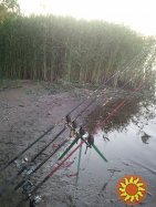 Рыбацкая тренога для донной ловли подарок рыбаку