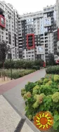 Продам 3 ком.квартиру на Таирова.ЖК Таировские сады.