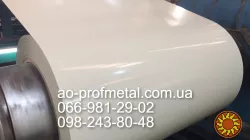 Оцинковка біла в рулоні 0,3 мм РАЛ 9003 глянець.