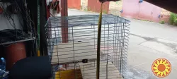Продам велику клітку для гризунів