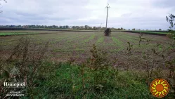 Продам дом в селе Лубянка.Участок 46 соток.