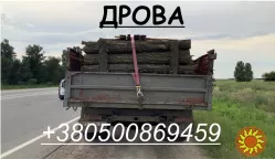 ДРОВА