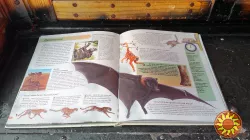 Новая Книга Знаний в вопросах и ответах.Планета Земля.