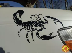 Наклейка на авто Скорпион Белая