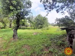 Продам дом в с. Новоселовка, пгт. Соленое