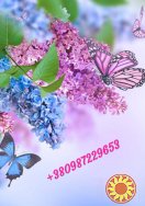 Душевные стихи на заказ - прекрасный подарок!