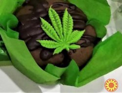 мука конопляная в мешках по 30 кг