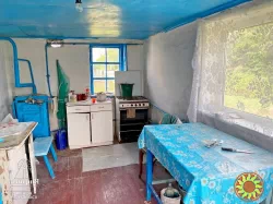 Продам кирпичный дом в Центре села Великополовецкое.Участок 65 соток.