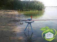Подсекатель для резинки и фидера, новинка (+ видео работы)