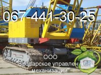 Аренда гусеничных кранов МКГ-25БР Киев.