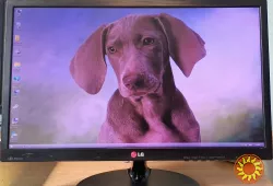 Монитор LG Flatron 23EN43T
