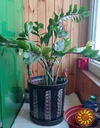 Горшок большой керамика в отличном состоянии